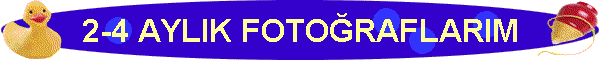 2-4 AYLIK FOTORAFLARIM
